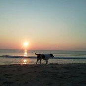 Foto de Bob Fishbaugh