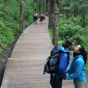Shiran Eisenstein's photo