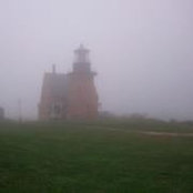 Aaron Petti's photo