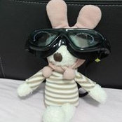Kah Tan's photo