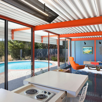 Eichler X-100 For Sale