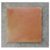 12"x12" Regular Sealed Saltillo Terra Cotta Floor Tile, Set of 250
