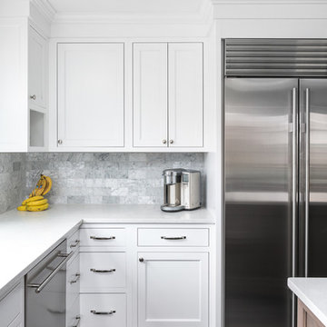 Transitional Kitchen and First Floor Leesburg Remodel - Naperville