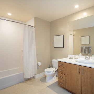Bathroom Projects