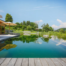 Schwimmteich