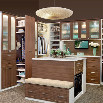 Contemporary Closet