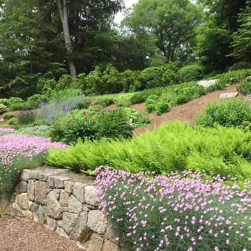 Landscaping Projects