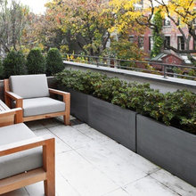 Rowhouse Design