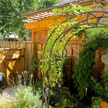 Yard Phase 2