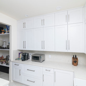 BOCA RATON FULL HOME CABINETRY - KITCHEN, BATH, BAR, LAUNDRY RM, BUTLERS PANTRY