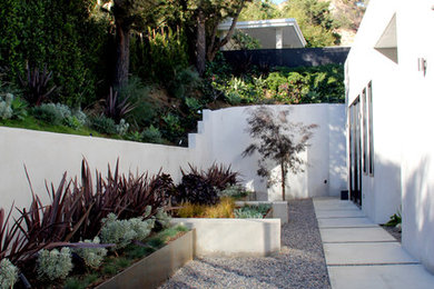 Contemporary sloped garden in Los Angeles with a container garden and gravel.