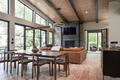 Living room - rustic living room idea in Minneapolis