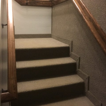 Redlion Contonious Handrail Project