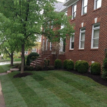 Traditional Boxwood Gardens