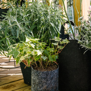 Balcon d'inspiration champêtre au soleil