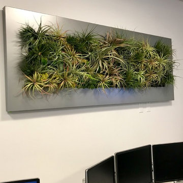 Interior Plants, Terrariums and Floral