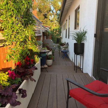 Sideyard Transformation Before & After