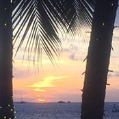 Kathi Ippolito's photo