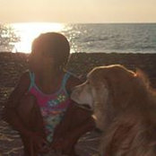 Lois Shive's photo