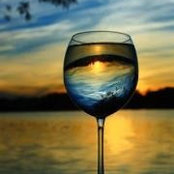 Michelle Lauzon's photo