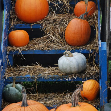F A R M - Seasonal Autumn