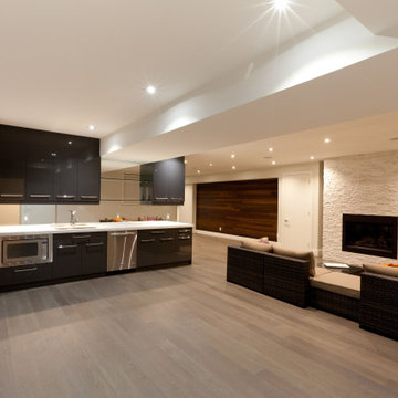 Basement Finishing