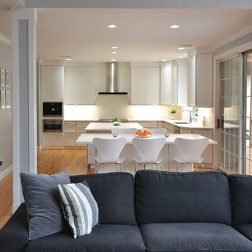 Sleek and European Kitchen Remodel