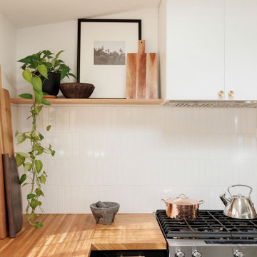 Mid Century Modern Kitchen Remodel