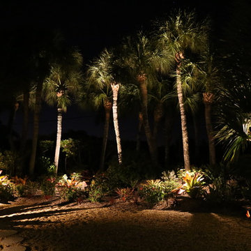 Landscape Lighting on the Beach