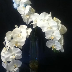 Orchids - Products