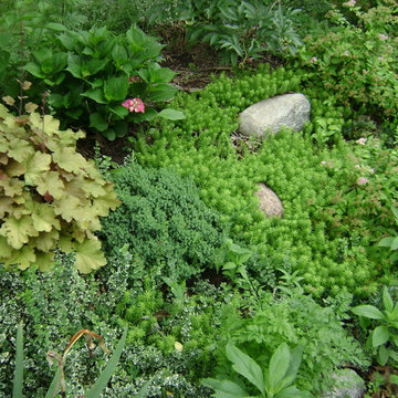 DYI Landscape - No Retaining Wall or Curb Necessary