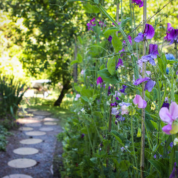 A Forest Oasis on Whidbey Island