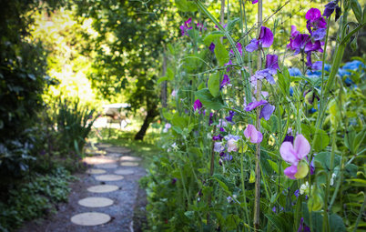 Got Allergies? 9 Plants to Avoid and What to Grow Instead