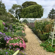 Potting Shed Garden