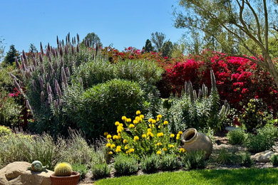 Photo of a mediterranean landscaping in Santa Barbara.