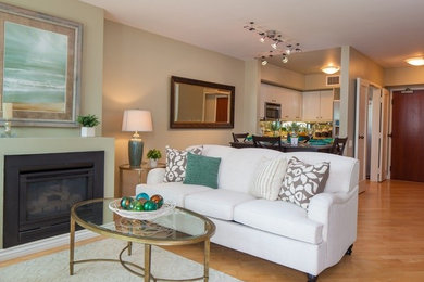 Living room - transitional living room idea in San Diego