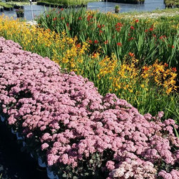 Nursery - Outdoor Products