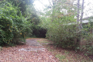 Yard clearing for sale of house