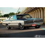 David Laforest's photo