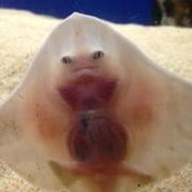 Sandra Lee's photo