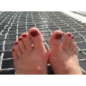 Ann Truitt's photo