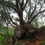 William DeRamus's photo