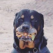 Jennifer Burns's photo