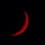 Ayssar Alsaad's photo