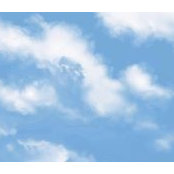 Lynne Wanamaker's photo