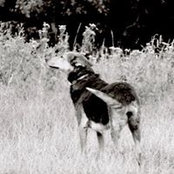Foto von F-Joseph Botbol