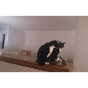 Audrey Hendrickson's photo