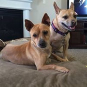 Melissa Beebe's photo