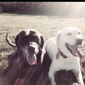 Danielle LaDouceur Schneider's photo