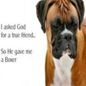 Tracy Johnson Turner's photo